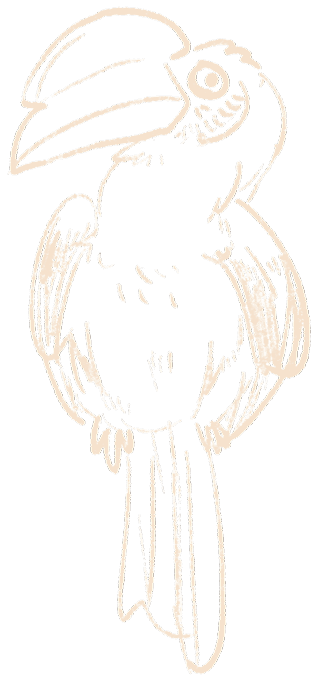Doodle